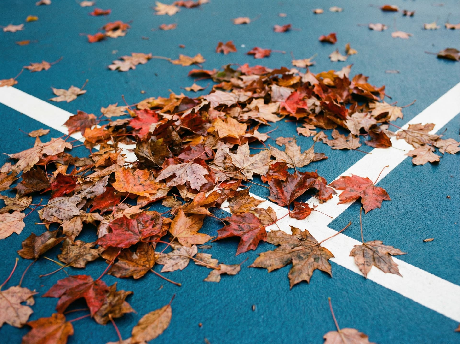 Sports Court Maintenance